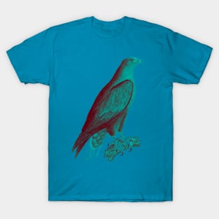 hawk,bald eagle,falcon,golden eagle,birdie,bird,bird of prey,raptor,aquila,vulture,heron,golf game,golf,eaglet,condor,haliaeetus,harpy eagle,beak,eagle putt,bird of jove,accipitridae,score,pigeon,owl,osprey T-Shirt